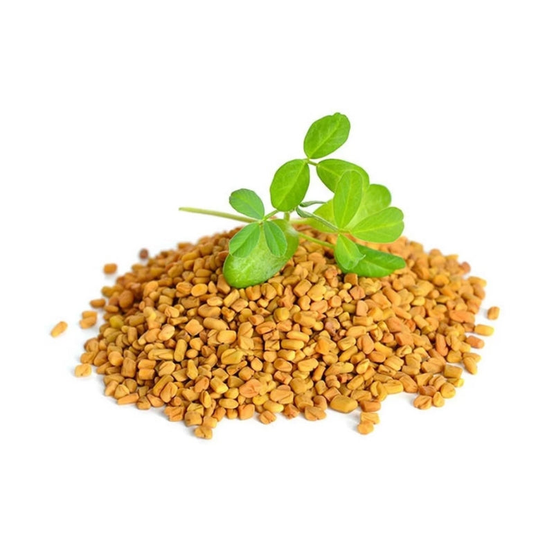 SHUDH Fenugreek Seed (Methi Seed) 400gm